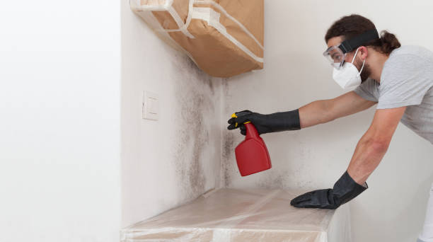 Professional Bathroom Mold Removal technician working in Maple Grove, MN